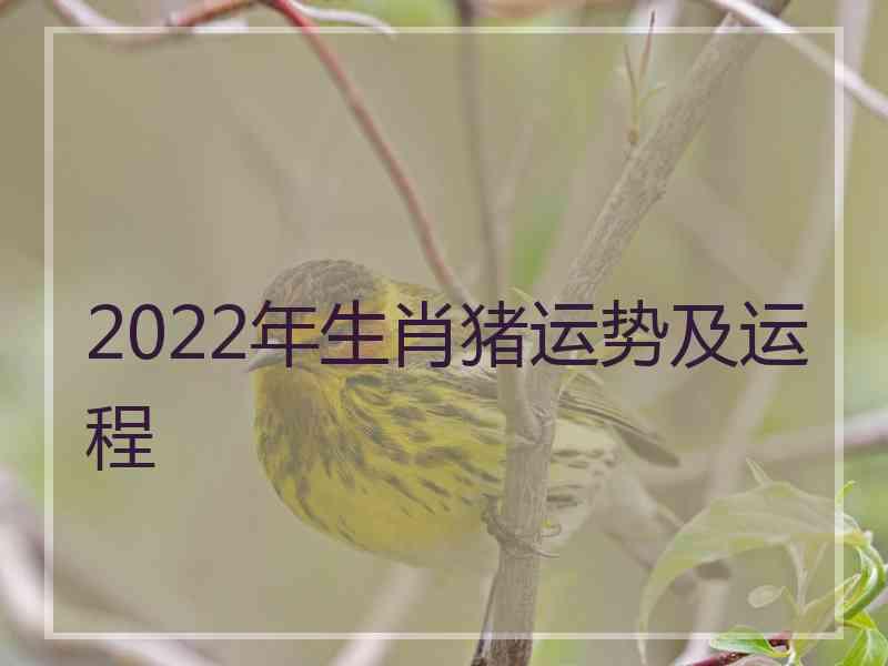 2022年生肖猪运势及运程