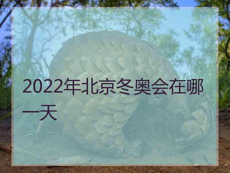 2022年北京冬奥会在哪一天