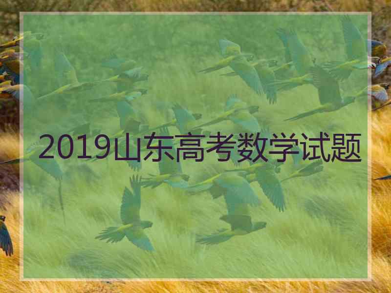 2019山东高考数学试题