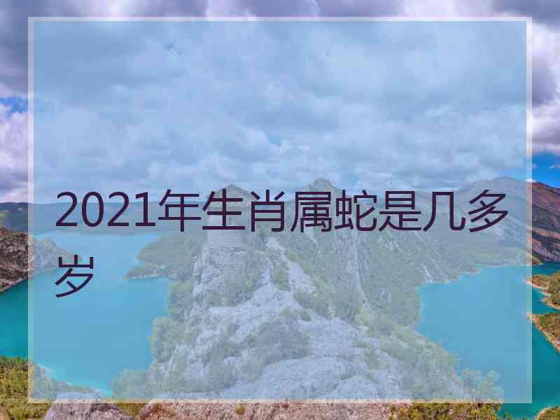 2021年生肖属蛇是几多岁