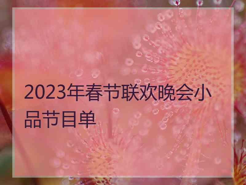 2023年春节联欢晚会小品节目单