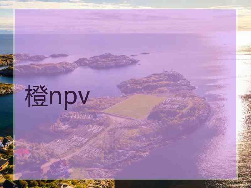 橙npv