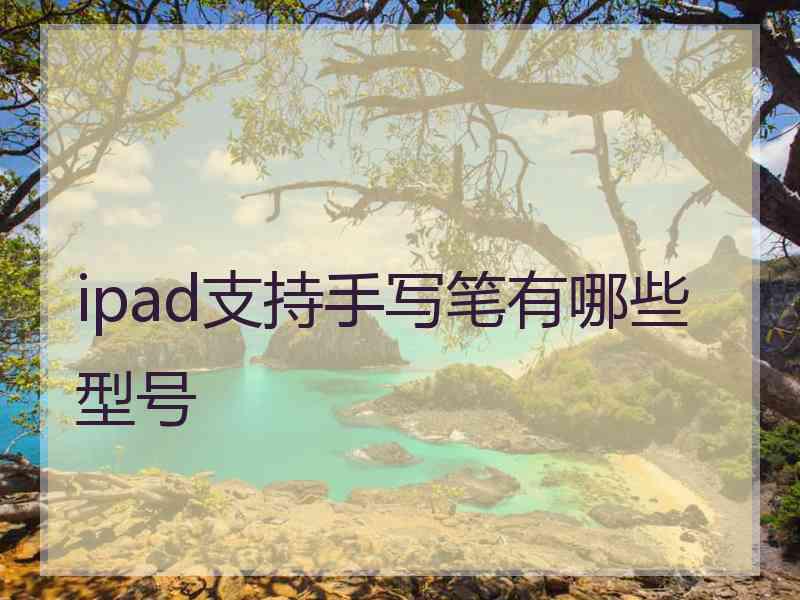 ipad支持手写笔有哪些型号