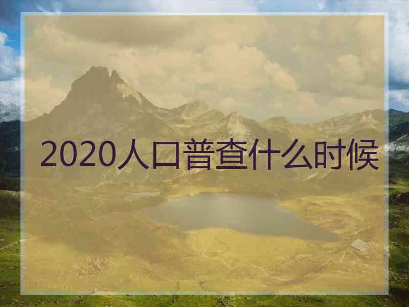 2020人口普查什么时候