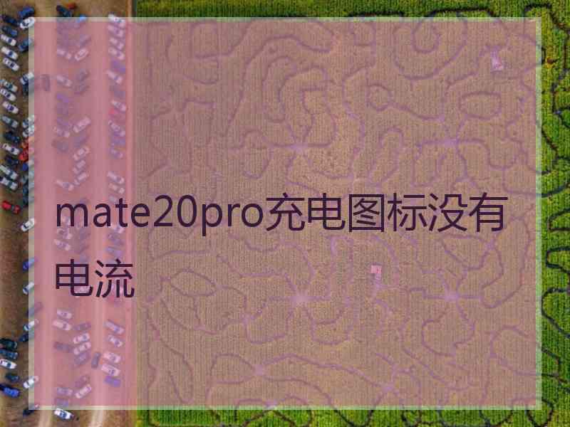 mate20pro充电图标没有电流