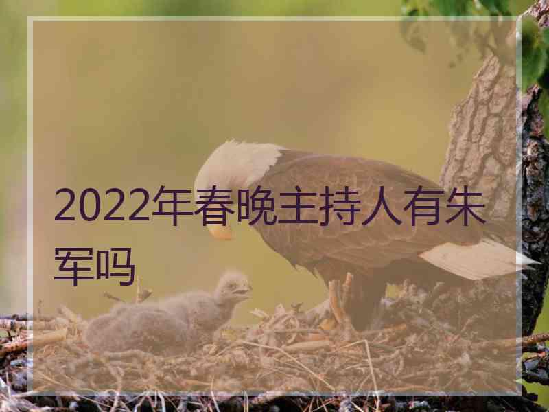 2022年春晚主持人有朱军吗