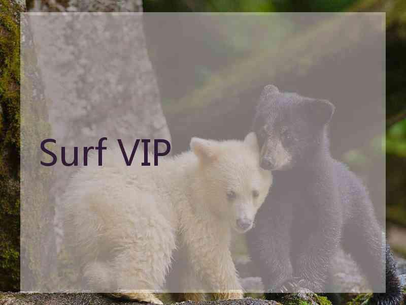 Surf VIP