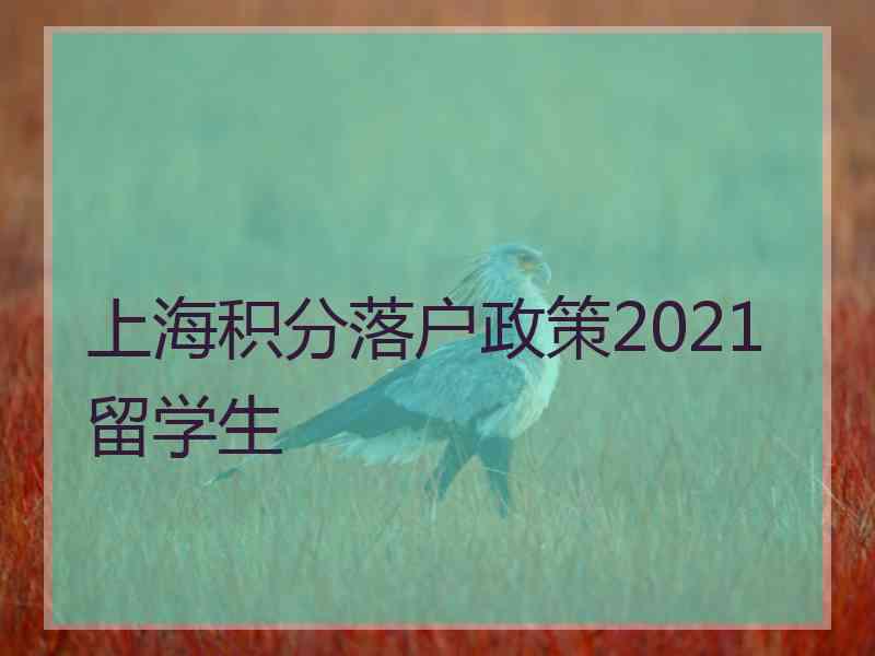 上海积分落户政策2021留学生