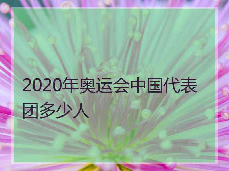 2020年奥运会中国代表团多少人