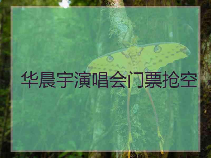 华晨宇演唱会门票抢空