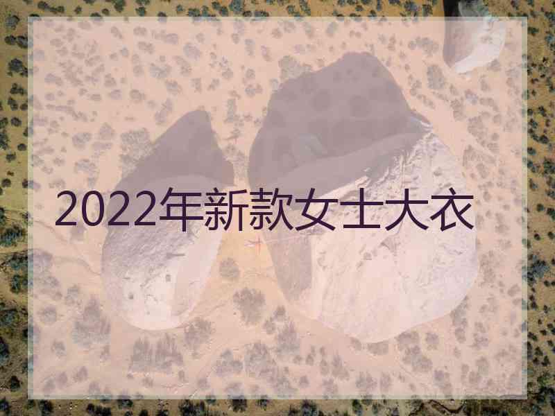 2022年新款女士大衣