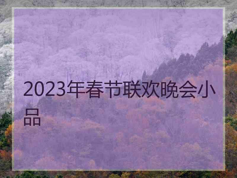 2023年春节联欢晚会小品