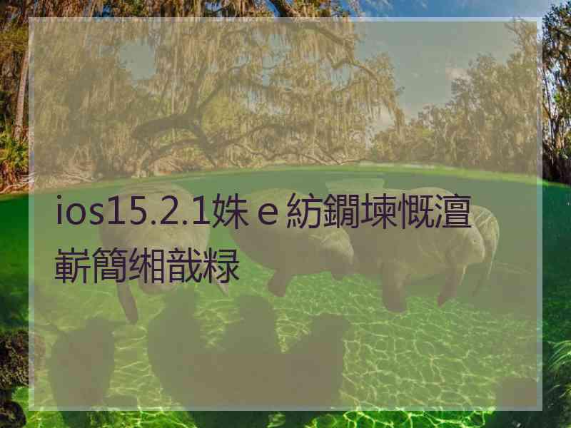 ios15.2.1姝ｅ紡鐗堜慨澶嶄簡缃戠粶