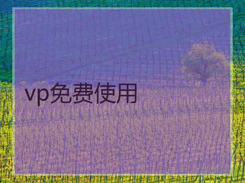 vp免费使用