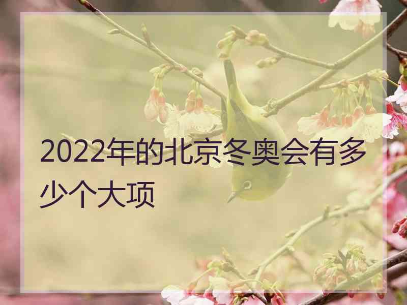 2022年的北京冬奥会有多少个大项