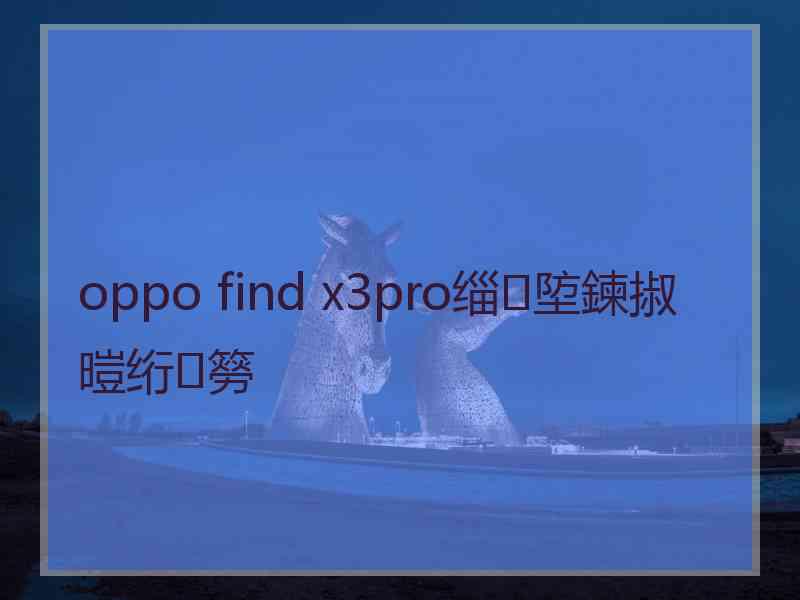 oppo find x3pro缁埅鍊掓暟绗簩