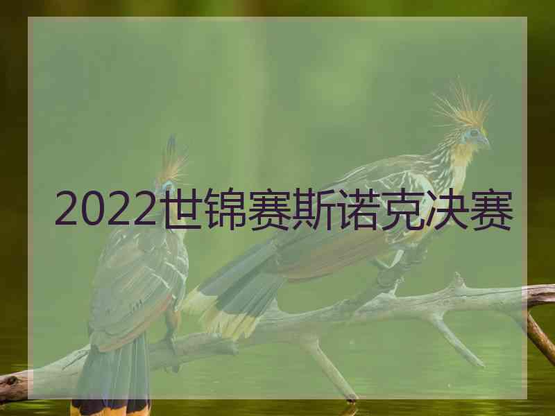 2022世锦赛斯诺克决赛