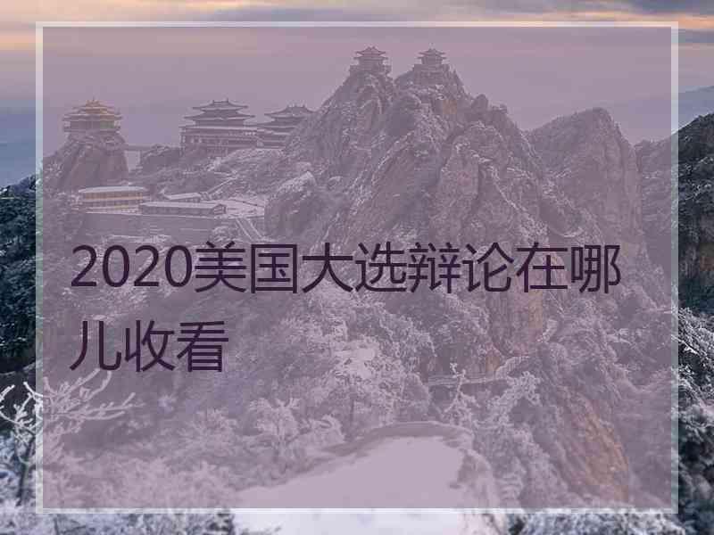 2020美国大选辩论在哪儿收看