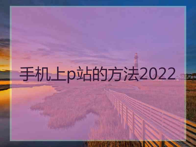 手机上p站的方法2022