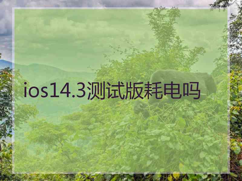 ios14.3测试版耗电吗