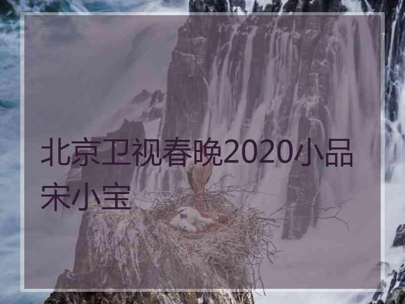 北京卫视春晚2020小品宋小宝