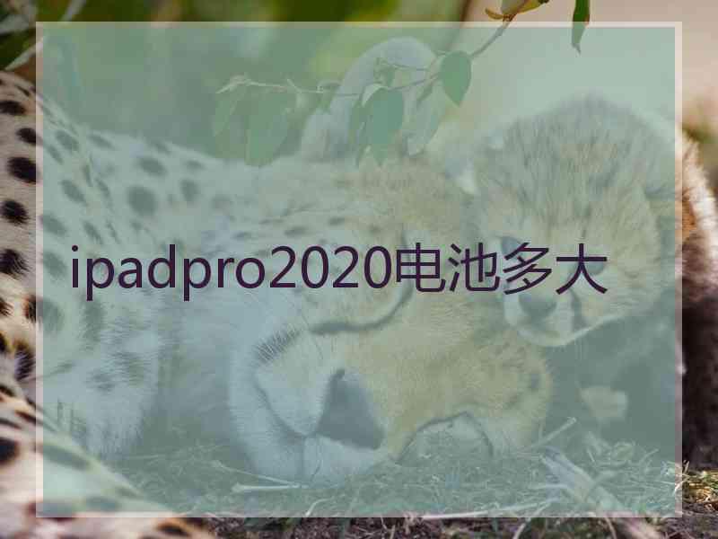 ipadpro2020电池多大