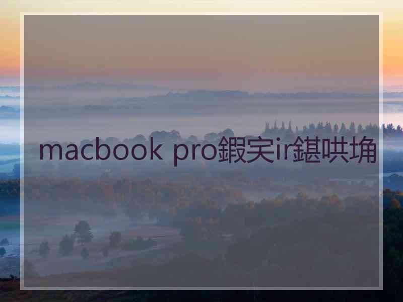 macbook pro鍜宎ir鍖哄埆