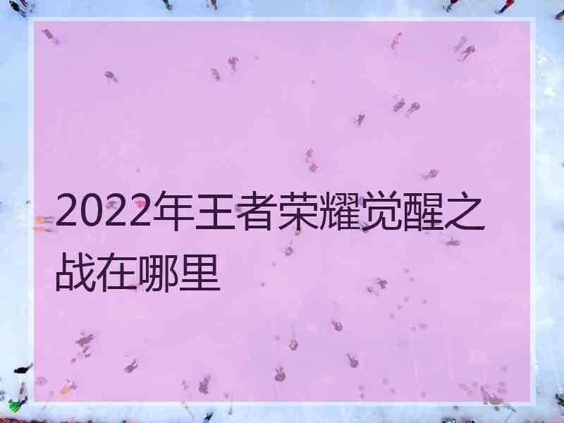 2022年王者荣耀觉醒之战在哪里