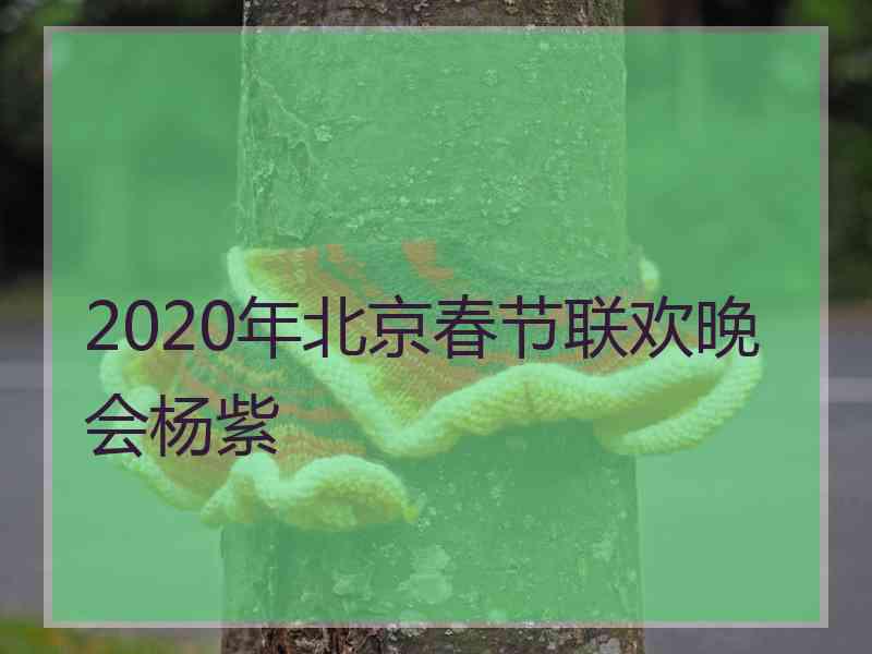 2020年北京春节联欢晚会杨紫