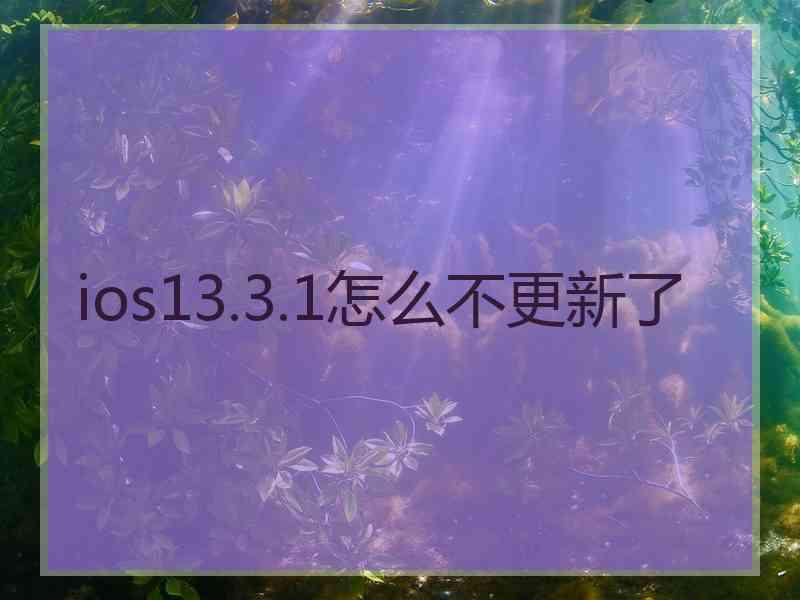 ios13.3.1怎么不更新了