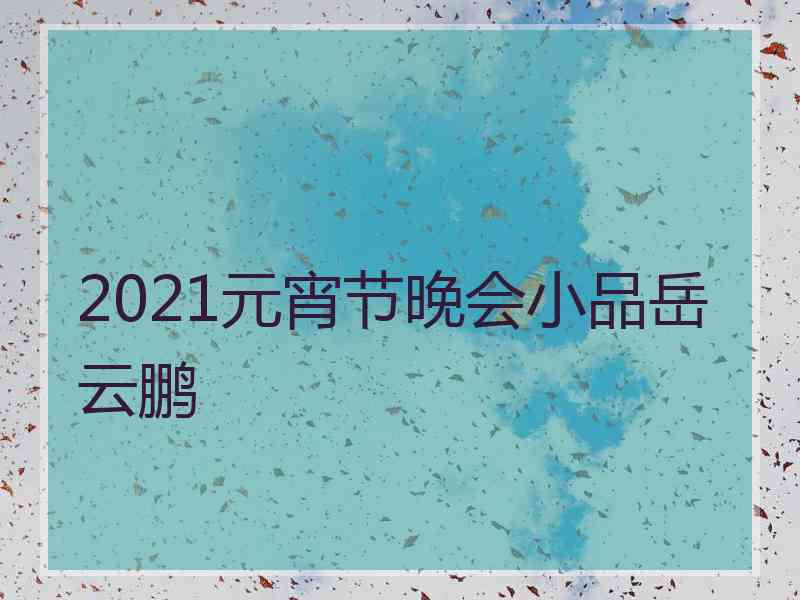 2021元宵节晚会小品岳云鹏