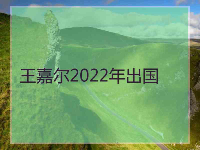 王嘉尔2022年出国