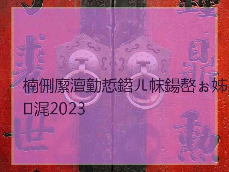 楠侀緳澶勭悊鍣ㄦ帓鍚嶅ぉ姊浘2023