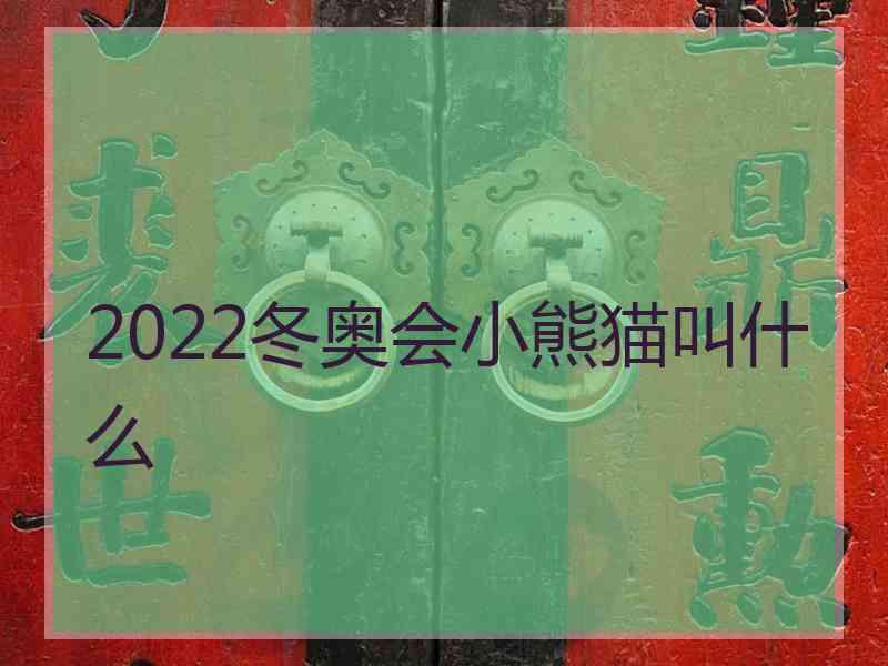 2022冬奥会小熊猫叫什么