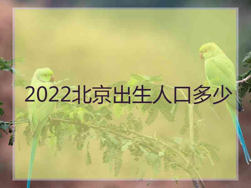 2022北京出生人口多少