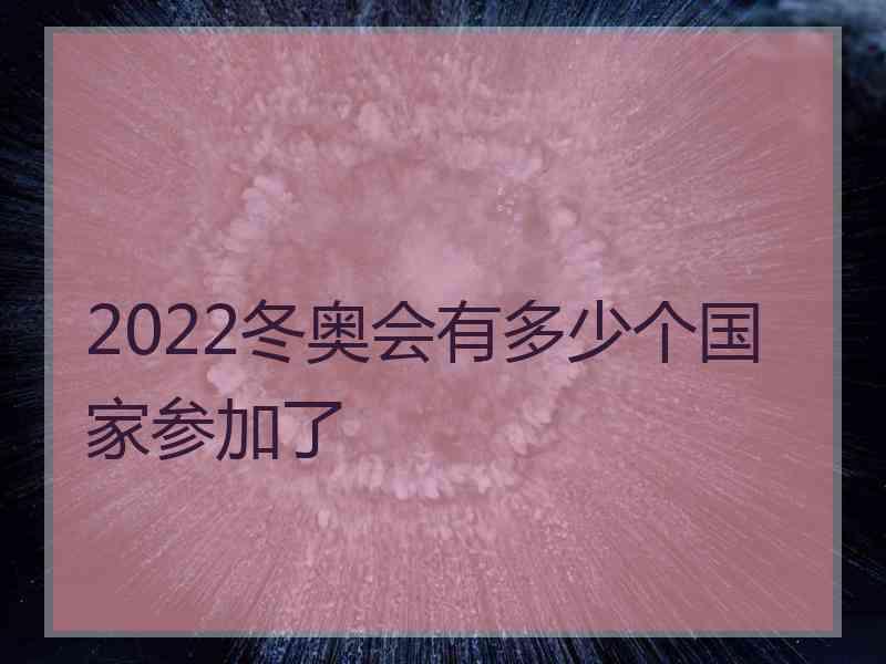 2022冬奥会有多少个国家参加了