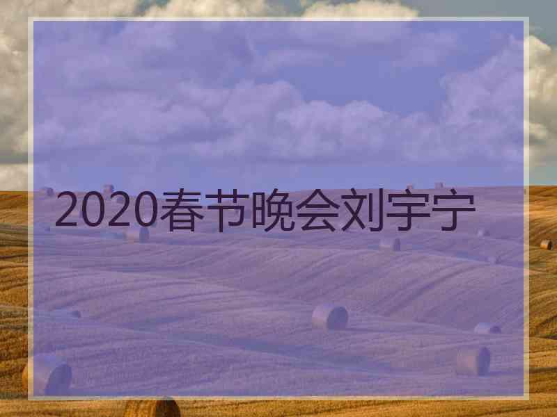 2020春节晚会刘宇宁