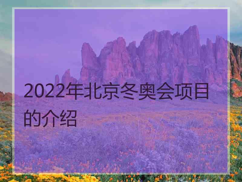 2022年北京冬奥会项目的介绍