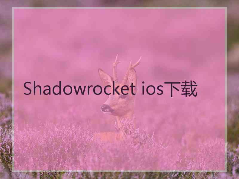 Shadowrocket ios下载