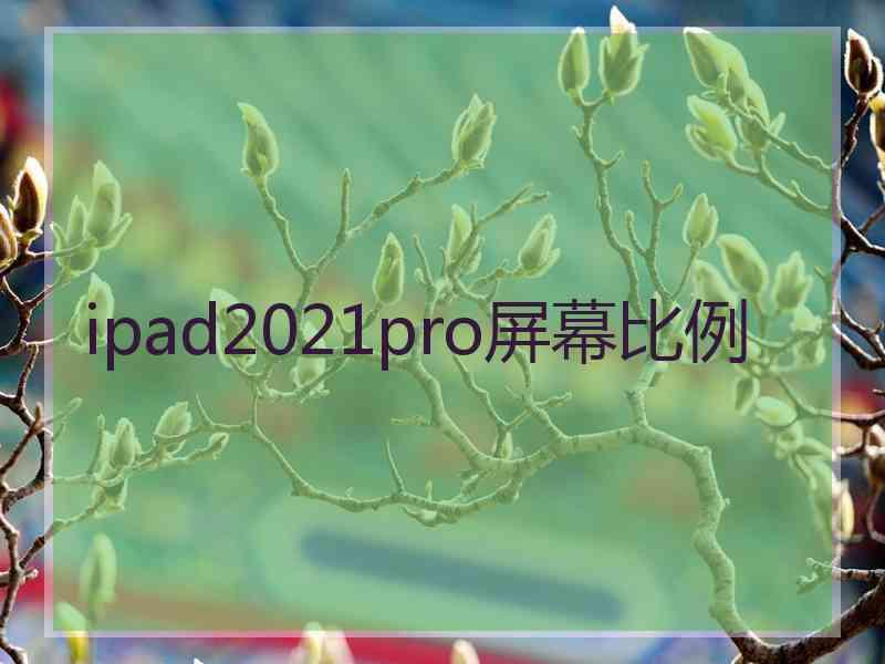 ipad2021pro屏幕比例