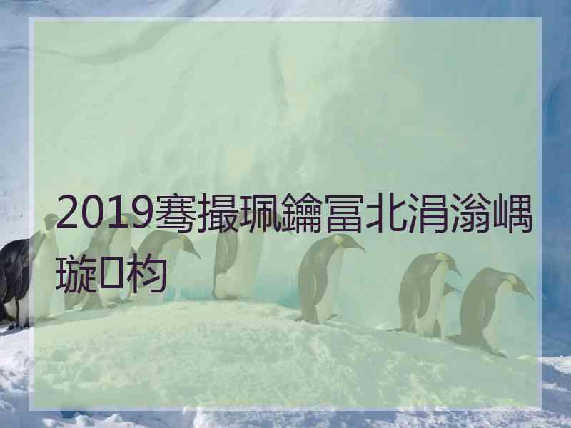 2019骞撮珮鑰冨北涓滃嵎璇枃