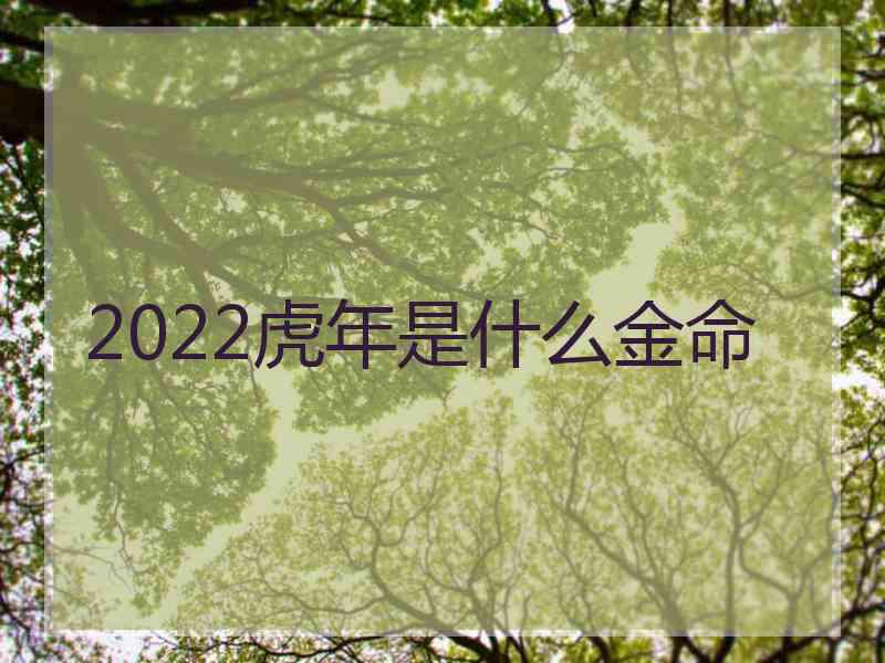 2022虎年是什么金命