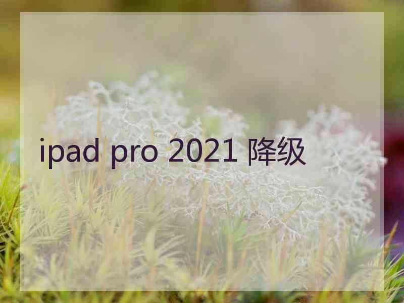 ipad pro 2021 降级