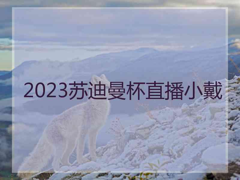 2023苏迪曼杯直播小戴