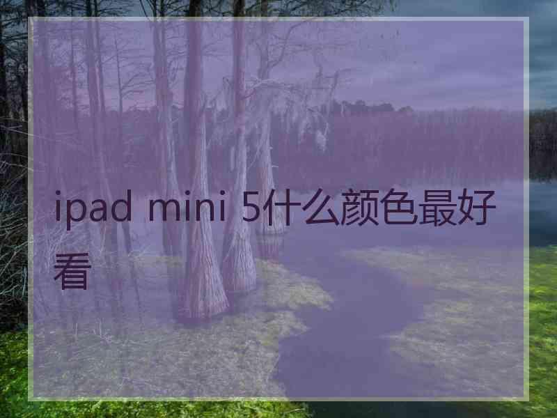 ipad mini 5什么颜色最好看