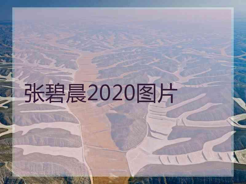 张碧晨2020图片