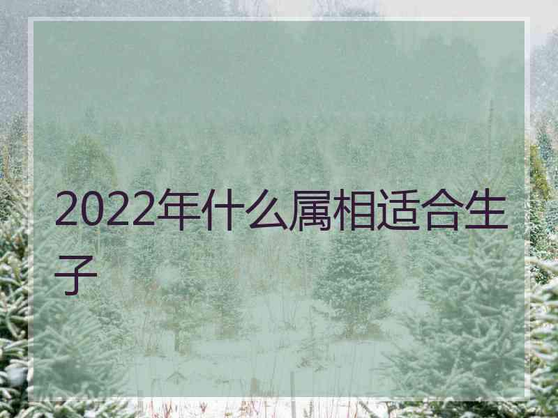 2022年什么属相适合生子