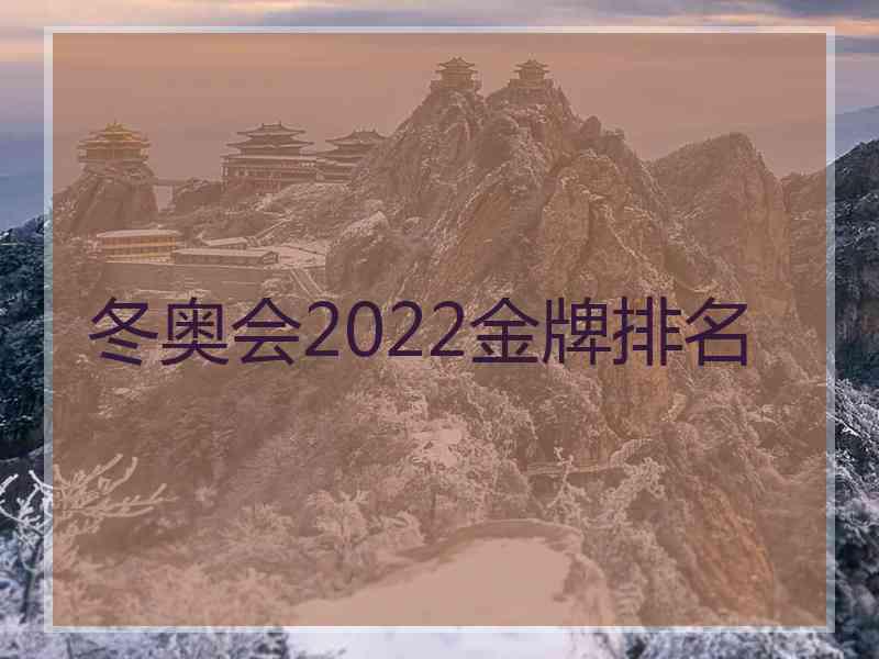 冬奥会2022金牌排名