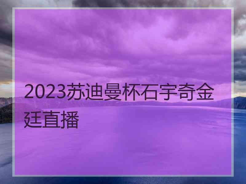 2023苏迪曼杯石宇奇金廷直播