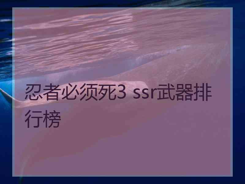 忍者必须死3 ssr武器排行榜